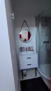 Salle de bain de l'appartement, avec miroir, vasque et cabine de douche